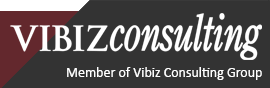 Vibiz Consulting